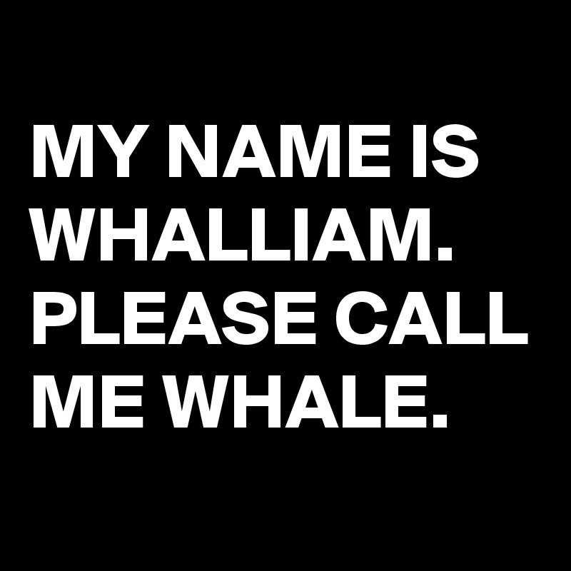 
MY NAME IS WHALLIAM.
PLEASE CALL ME WHALE.
