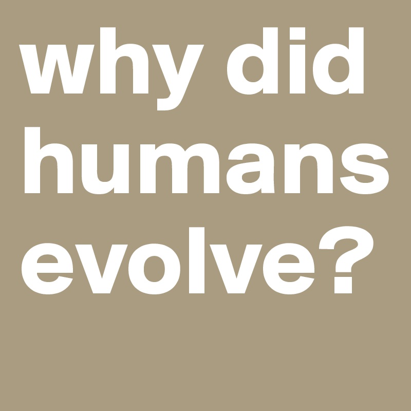 why-did-humans-evolve-post-by-mkoschi13-on-boldomatic