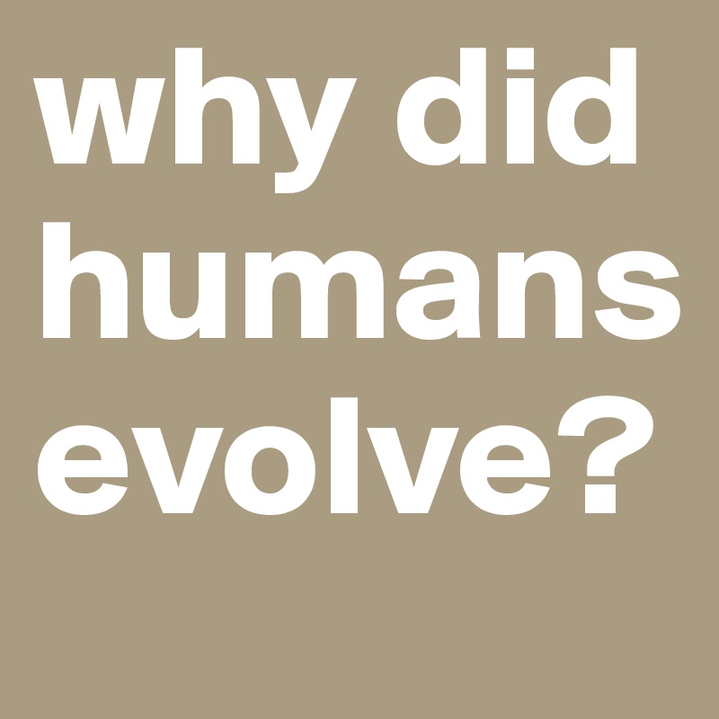 why did humans evolve?
