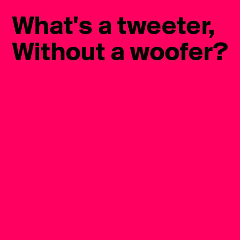 What's a tweeter,
Without a woofer?





