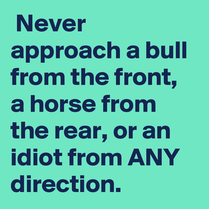  Never approach a bull from the front, a horse from the rear, or an idiot from ANY direction.