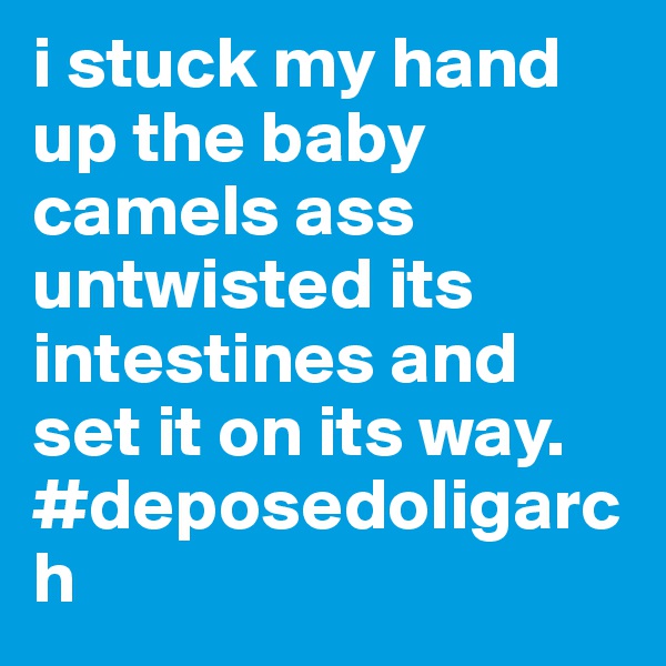 i stuck my hand up the baby camels ass untwisted its intestines and set it on its way. #deposedoligarch