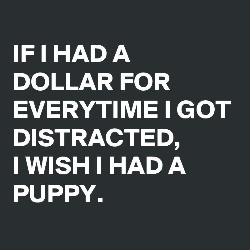
IF I HAD A DOLLAR FOR EVERYTIME I GOT DISTRACTED,
I WISH I HAD A PUPPY.
