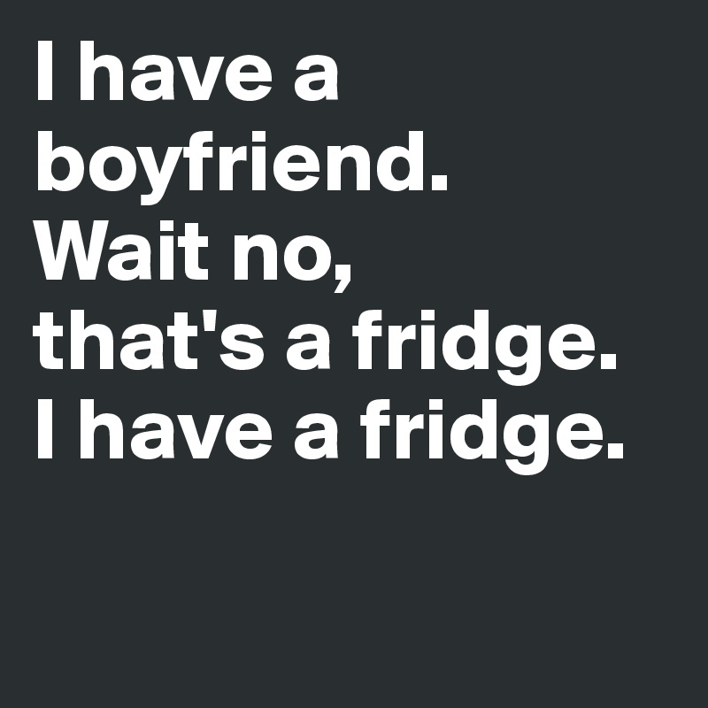 I have a boyfriend. 
Wait no,
that's a fridge.
I have a fridge.


