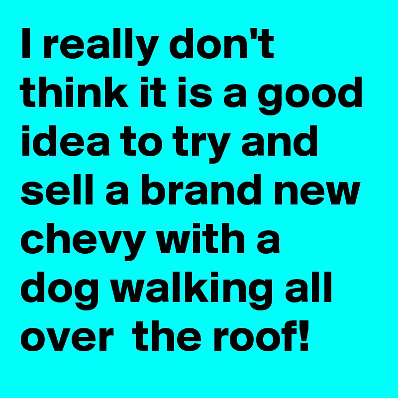 I really don't think it is a good idea to try and sell a brand new chevy with a dog walking all over  the roof!