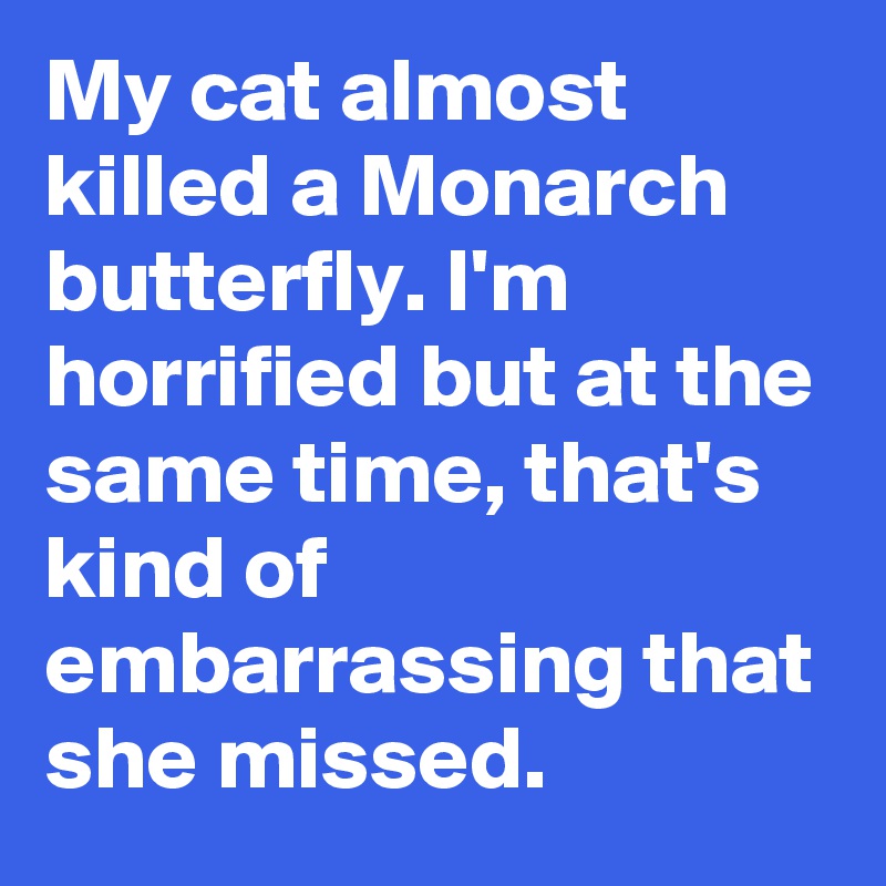 My cat almost killed a Monarch butterfly. I'm horrified but at the same time, that's kind of embarrassing that she missed.