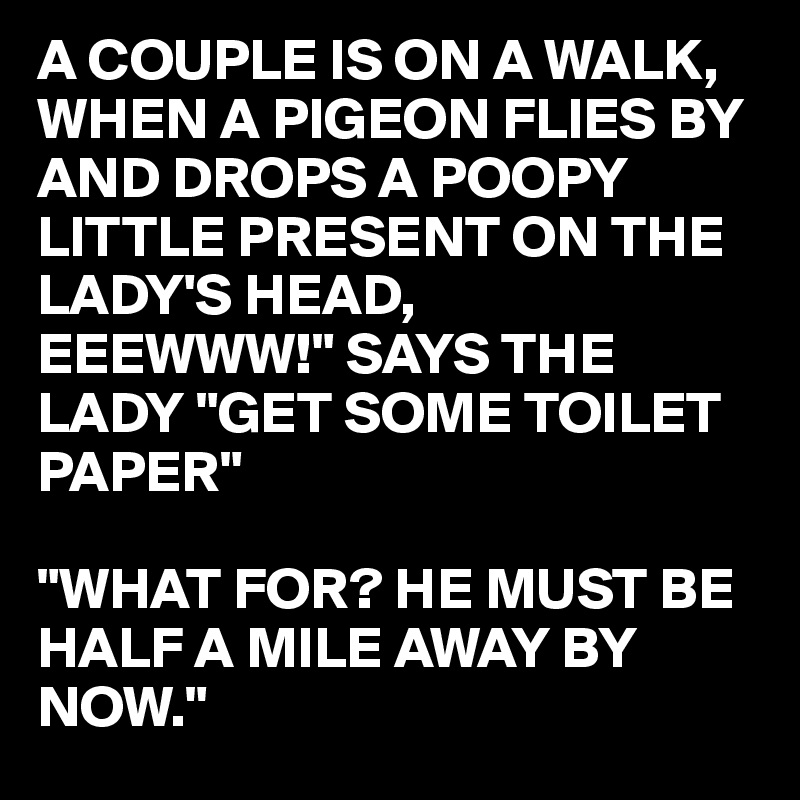 A COUPLE IS ON A WALK, WHEN A PIGEON FLIES BY AND DROPS A POOPY LITTLE PRESENT ON THE LADY'S HEAD,
EEEWWW!" SAYS THE LADY "GET SOME TOILET PAPER"

"WHAT FOR? HE MUST BE HALF A MILE AWAY BY NOW." 