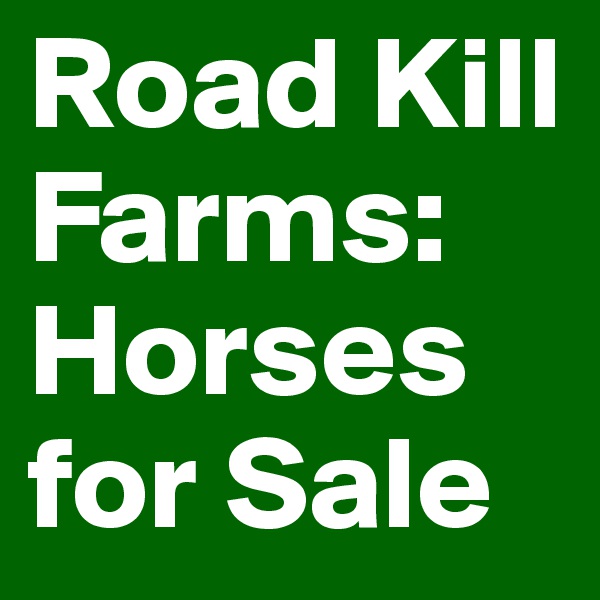 Road Kill Farms:
Horses for Sale