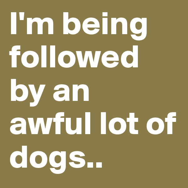 I'm being followed by an awful lot of dogs..