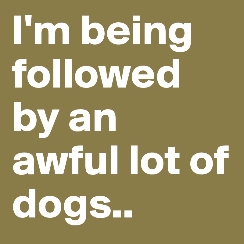 I'm being followed by an awful lot of dogs..