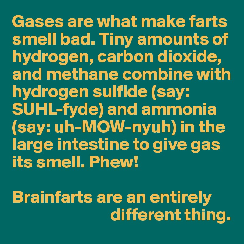 Gases are what make farts smell bad. Tiny amounts of hydrogen, carbon dioxide, and methane combine with hydrogen sulfide (say: SUHL-fyde) and ammonia (say: uh-MOW-nyuh) in the large intestine to give gas its smell. Phew!

Brainfarts are an entirely 
                            different thing.