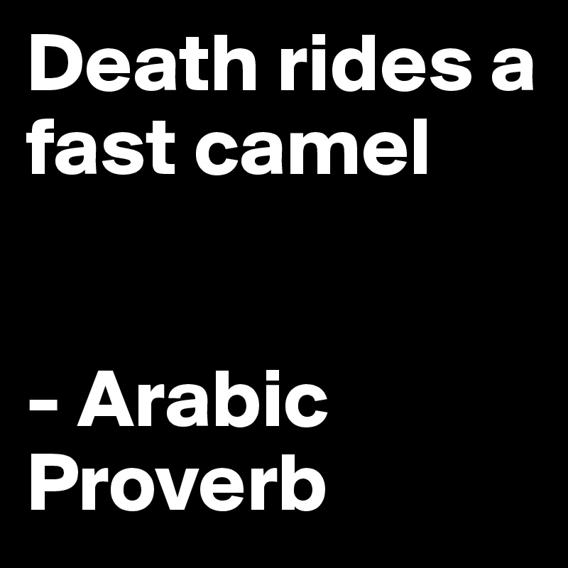 Death rides a fast camel - Arabic Proverb - Post by Guru15 on Boldomatic