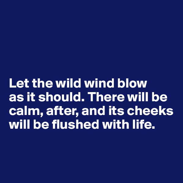 




Let the wild wind blow
as it should. There will be calm, after, and its cheeks will be flushed with life.

