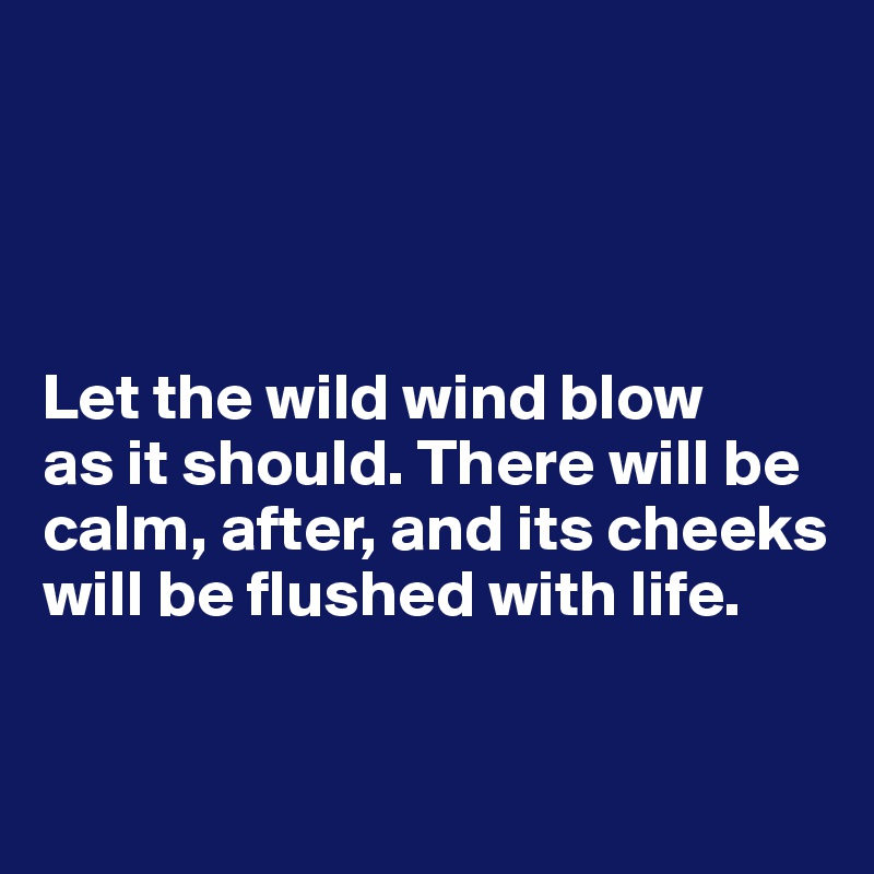




Let the wild wind blow
as it should. There will be calm, after, and its cheeks will be flushed with life.

