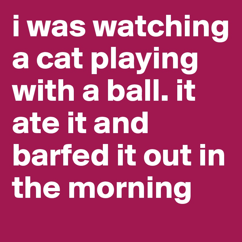 i was watching a cat playing with a ball. it ate it and barfed it out in the morning