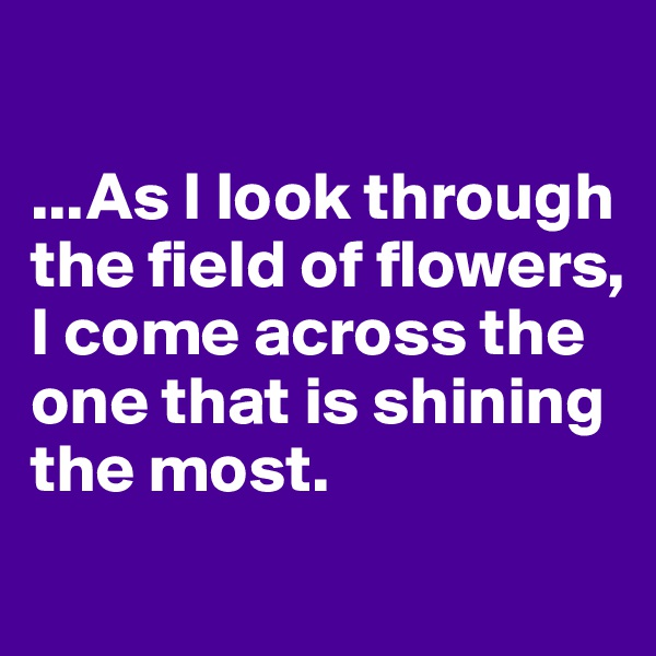 

...As I look through the field of flowers, I come across the one that is shining the most. 
