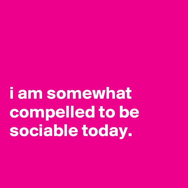 



i am somewhat compelled to be sociable today.

