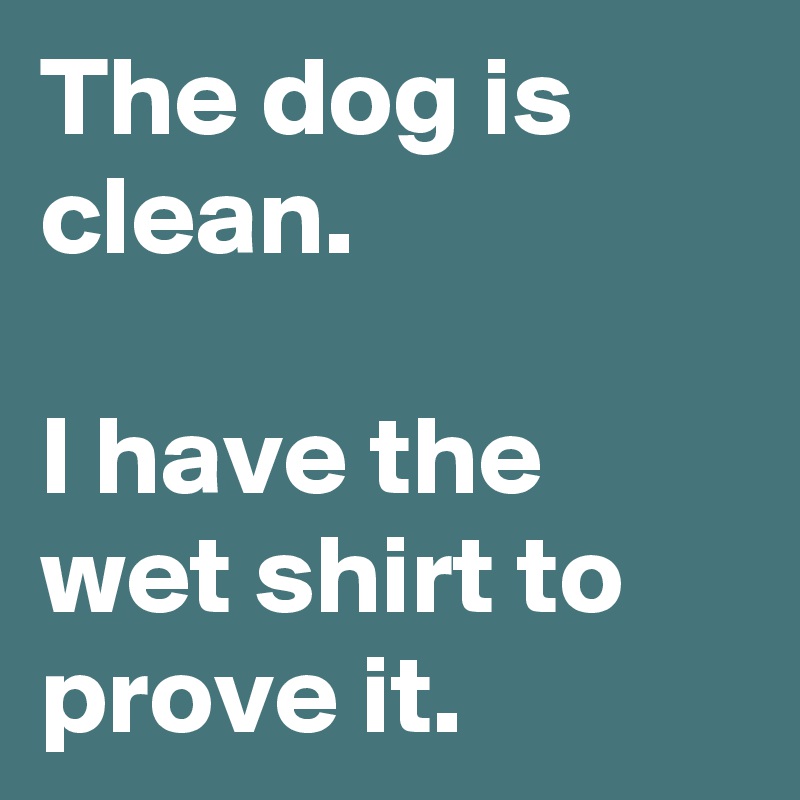 The dog is clean. 

I have the wet shirt to prove it.