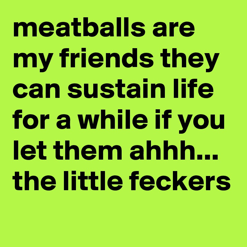 meatballs are my friends they can sustain life for a while if you let them ahhh... the little feckers
