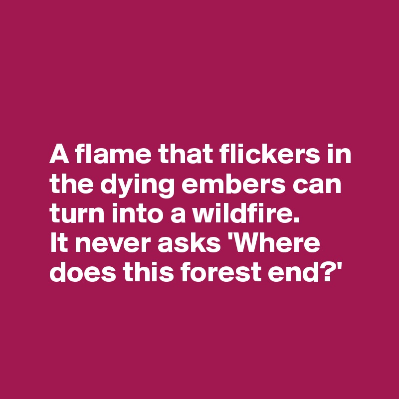 



     A flame that flickers in 
     the dying embers can 
     turn into a wildfire.
     It never asks 'Where 
     does this forest end?'


