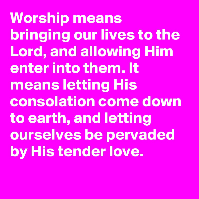 Worship means bringing our lives to the Lord, and allowing Him enter into them. It means letting His consolation come down to earth, and letting ourselves be pervaded by His tender love.