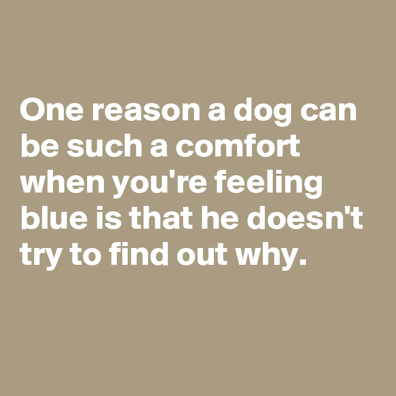 

One reason a dog can be such a comfort when you're feeling blue is that he doesn't try to find out why.

