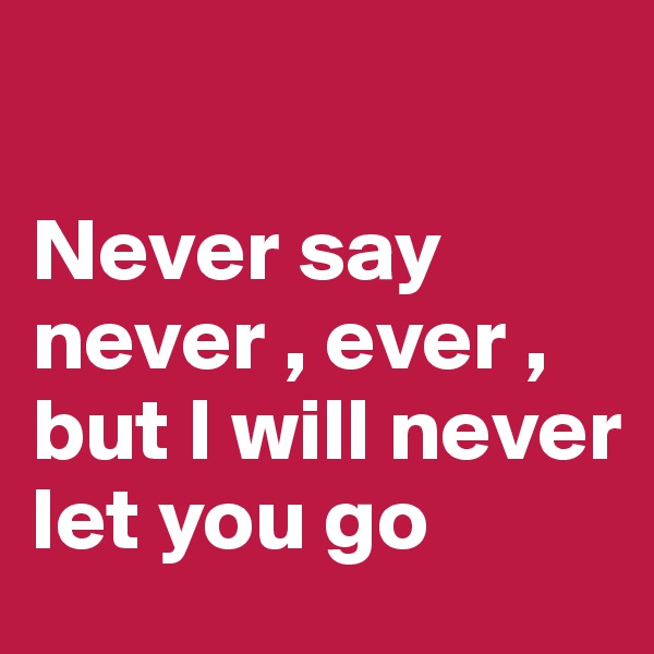 

Never say never , ever , but I will never let you go