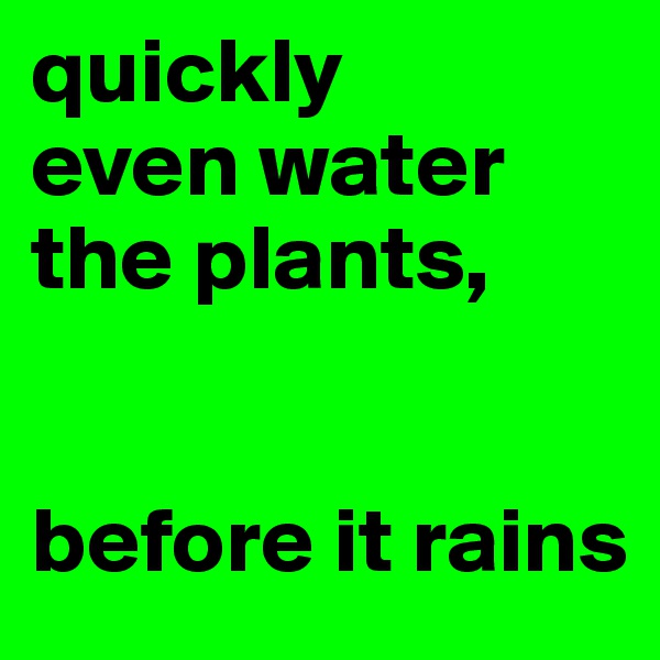 quickly 
even water the plants,


before it rains