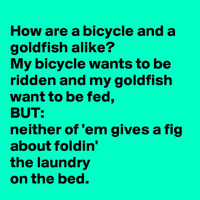 How are a bicycle and a goldfish alike?
My bicycle wants to be ridden and my goldfish want to be fed,
BUT:
neither of 'em gives a fig
about foldin'
the laundry
on the bed.