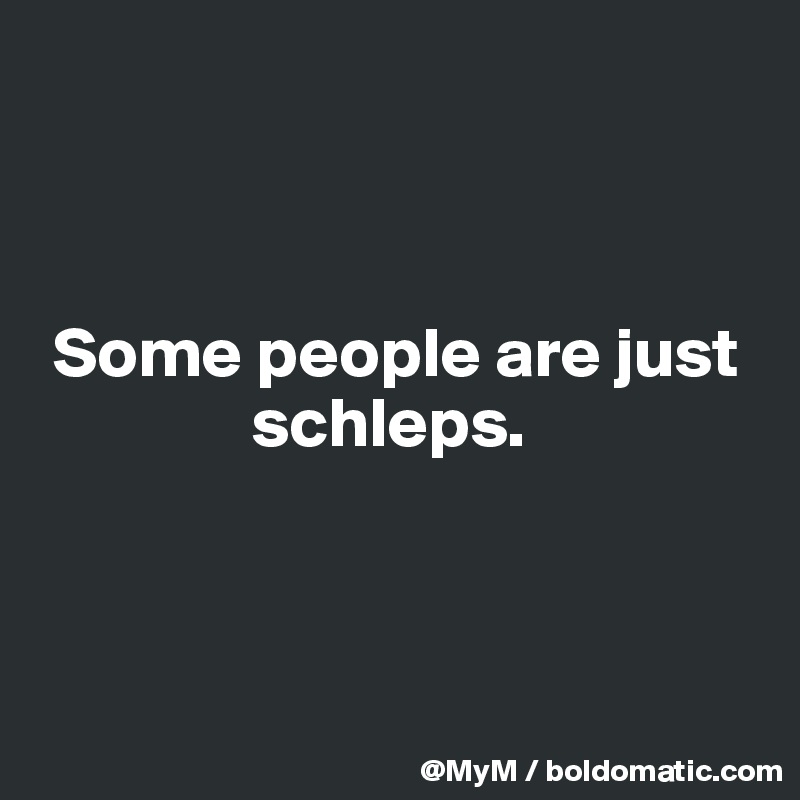 



 Some people are just     
               schleps.



