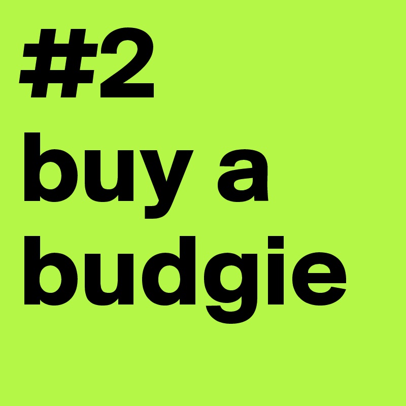 #2
buy a budgie