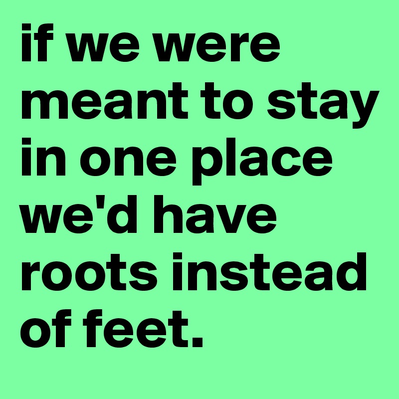 if we were meant to stay in one place we'd have roots instead of feet.