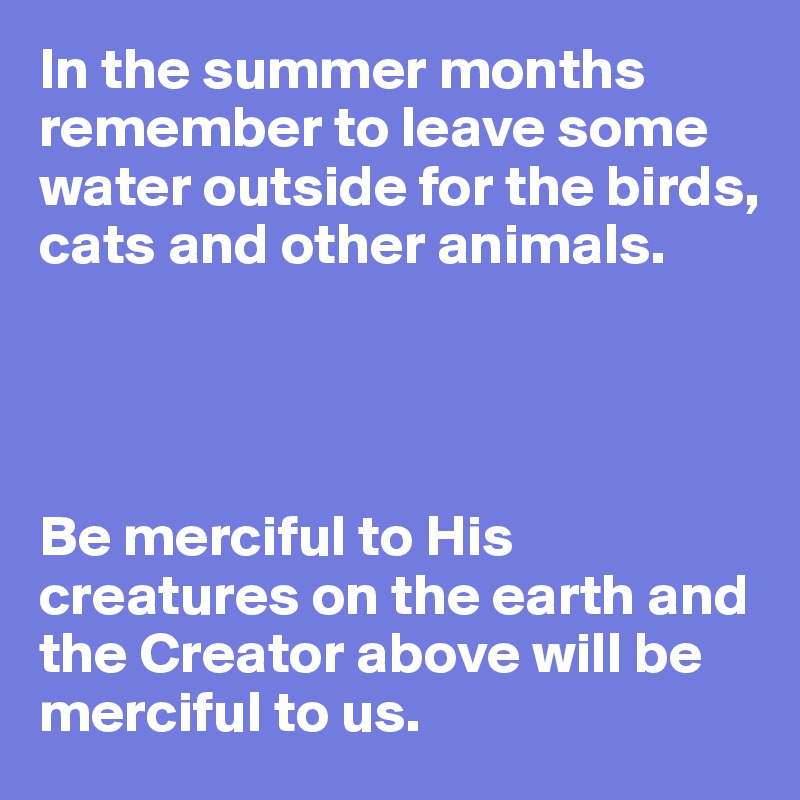 In the summer months remember to leave some water outside for the birds, cats and other animals.




Be merciful to His creatures on the earth and the Creator above will be merciful to us.