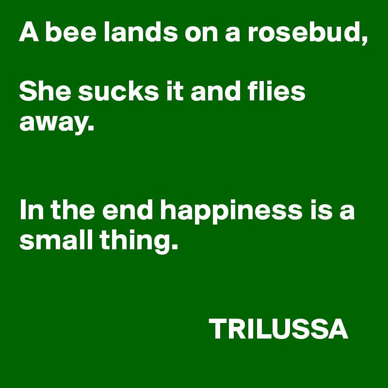 A bee lands on a rosebud,

She sucks it and flies away.


In the end happiness is a small thing.


                                TRILUSSA