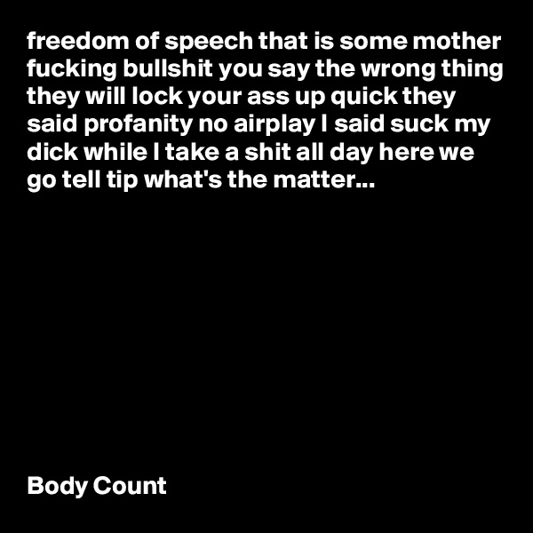 freedom of speech that is some mother fucking bullshit you say the wrong thing they will lock your ass up quick they said profanity no airplay I said suck my dick while I take a shit all day here we go tell tip what's the matter...










Body Count 