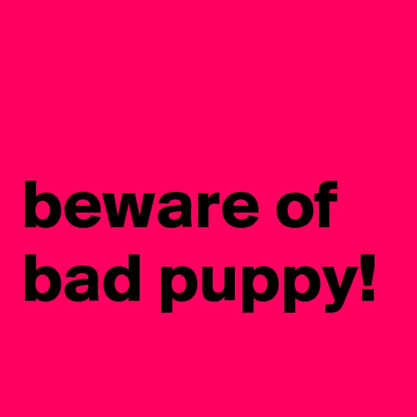  
          beware of
bad puppy!