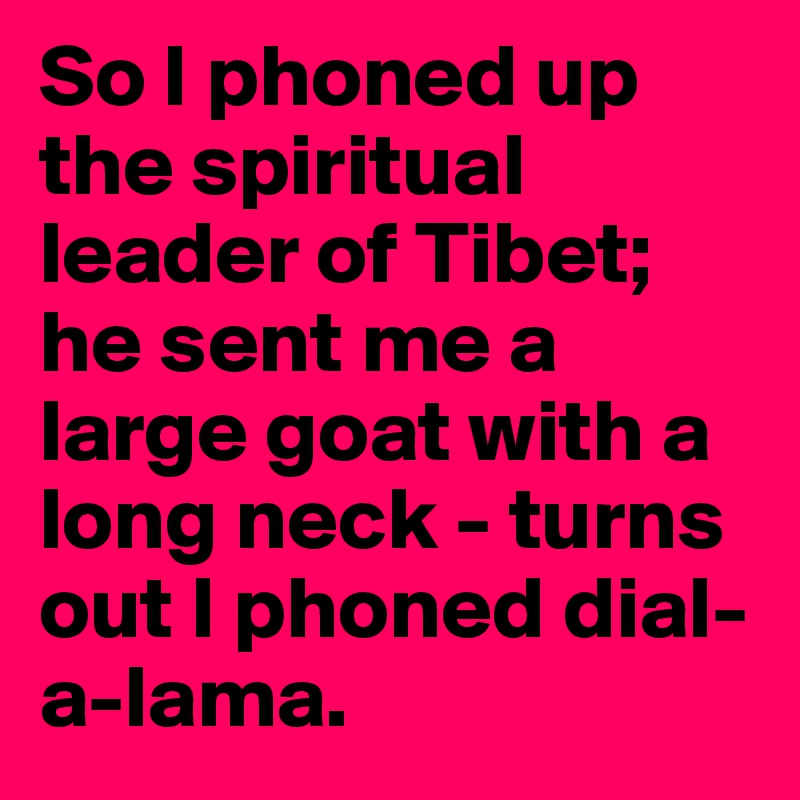So I phoned up the spiritual leader of Tibet; he sent me a large goat with a long neck - turns out I phoned dial-a-lama.