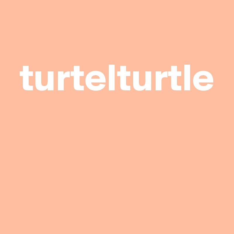 
 turtelturtle



