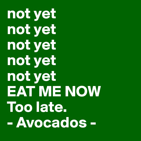 not yet
not yet
not yet
not yet
not yet
EAT ME NOW
Too late.
- Avocados -