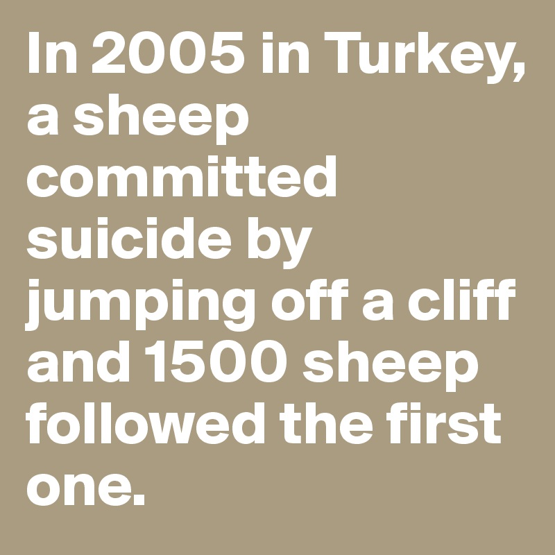 In 2005 in Turkey, a sheep committed suicide by jumping off a cliff and 1500 sheep followed the first one.