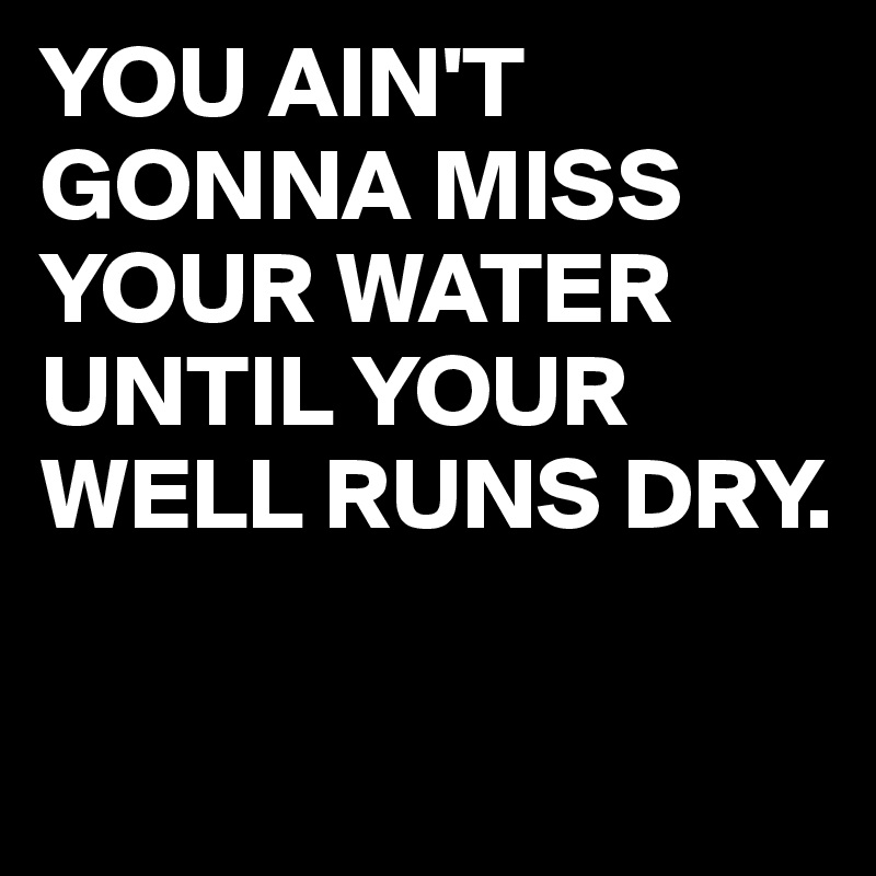 YOU AIN'T GONNA MISS YOUR WATER UNTIL YOUR WELL RUNS DRY.

  