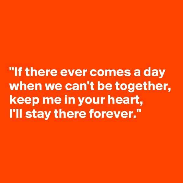 



"If there ever comes a day 
when we can't be together, 
keep me in your heart, 
I'll stay there forever."


