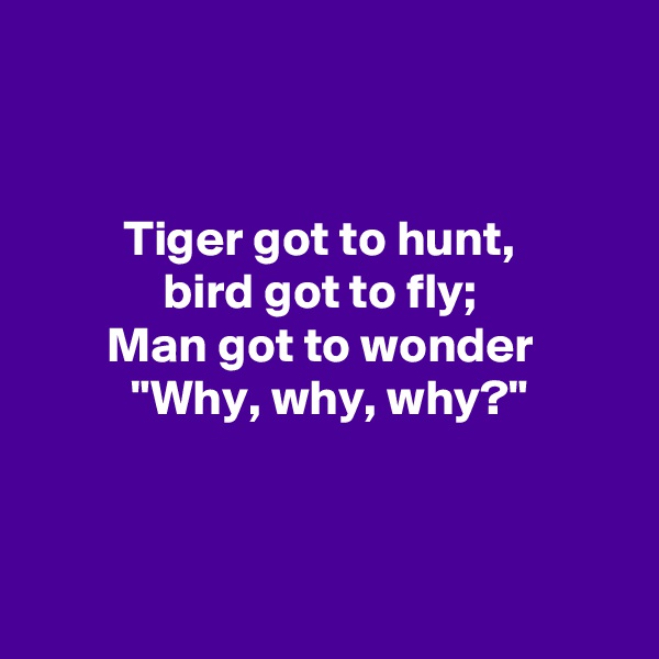 


Tiger got to hunt, 
bird got to fly; 
Man got to wonder 
"Why, why, why?"




