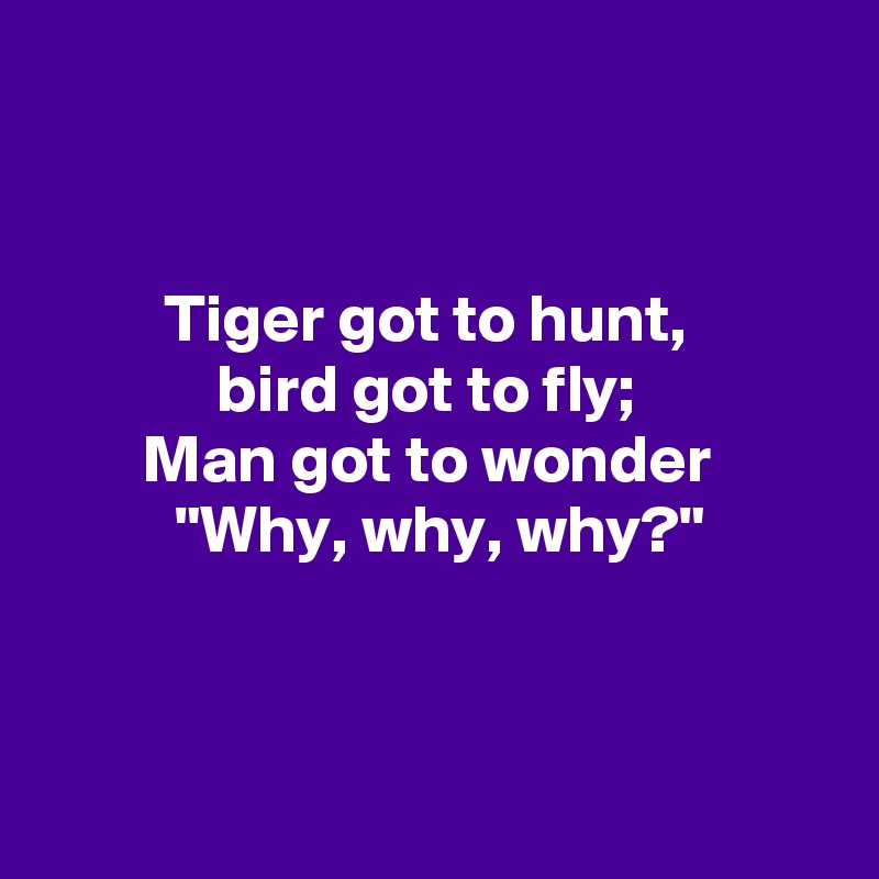 


Tiger got to hunt, 
bird got to fly; 
Man got to wonder 
"Why, why, why?"



