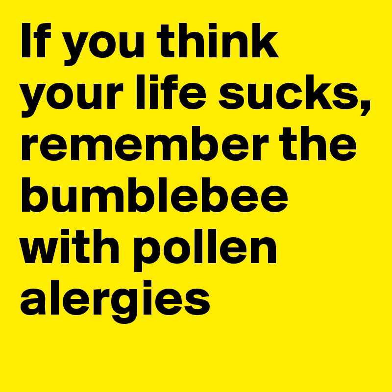 If you think your life sucks, remember the bumblebee with pollen alergies