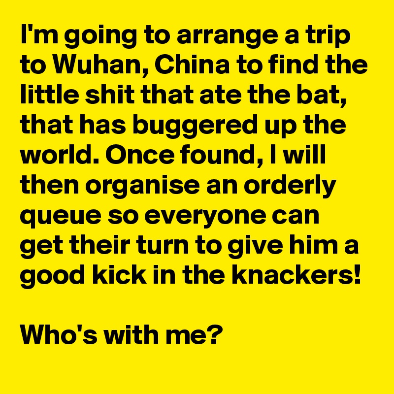 I-m-going-to-arrange-a-trip-to-Wuhan-China-to-find