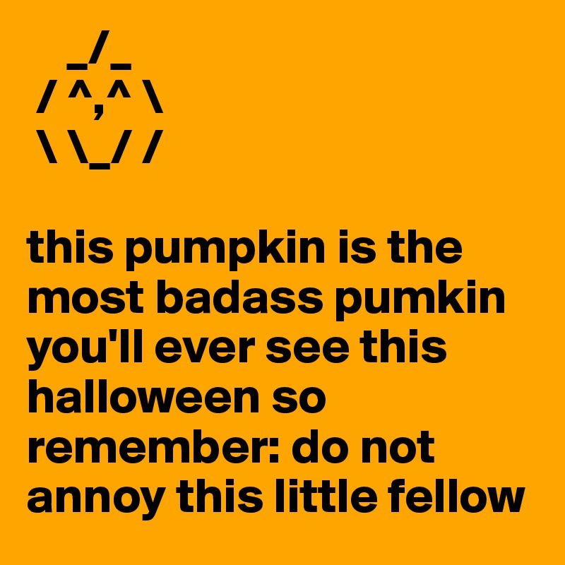     _/_
 / ^,^ \
 \ \_/ /

this pumpkin is the most badass pumkin you'll ever see this halloween so remember: do not annoy this little fellow 