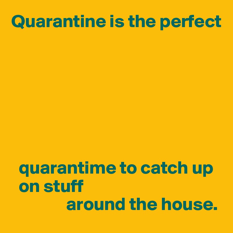 Quarantine is the perfect







  quarantime to catch up 
  on stuff
               around the house.