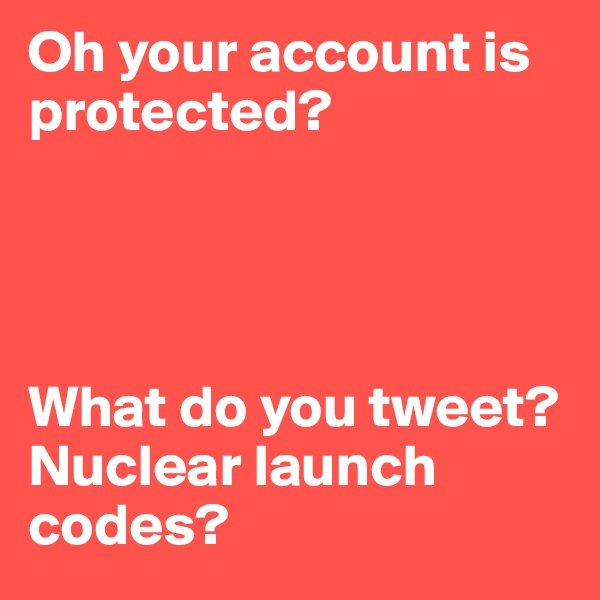 Oh your account is protected? 



 
What do you tweet? 
Nuclear launch codes? 