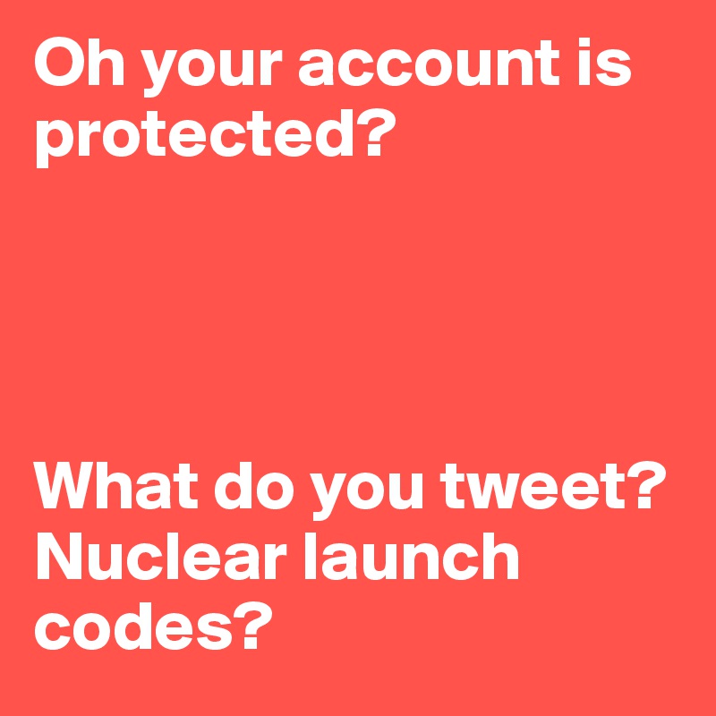 Oh your account is protected? 



 
What do you tweet? 
Nuclear launch codes? 
